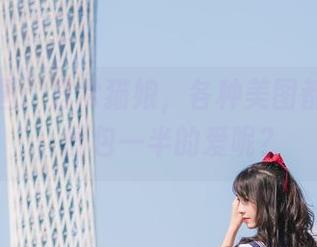 兔玩映画：日常猫娘，各种美图都在这里，图包一半的爱呢？
