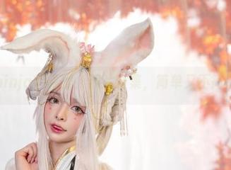 阿寨寨ninja的阿狸，照片合集，简单又不简单地好看