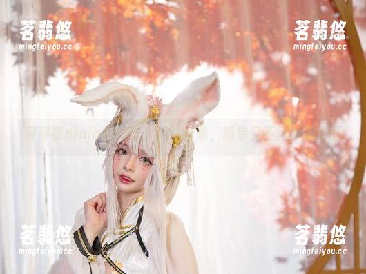 阿寨寨ninja的阿狸，照片合集，简单又不简单地好看
